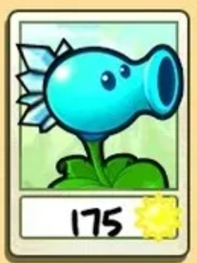 Snow Pea