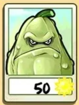 Squash